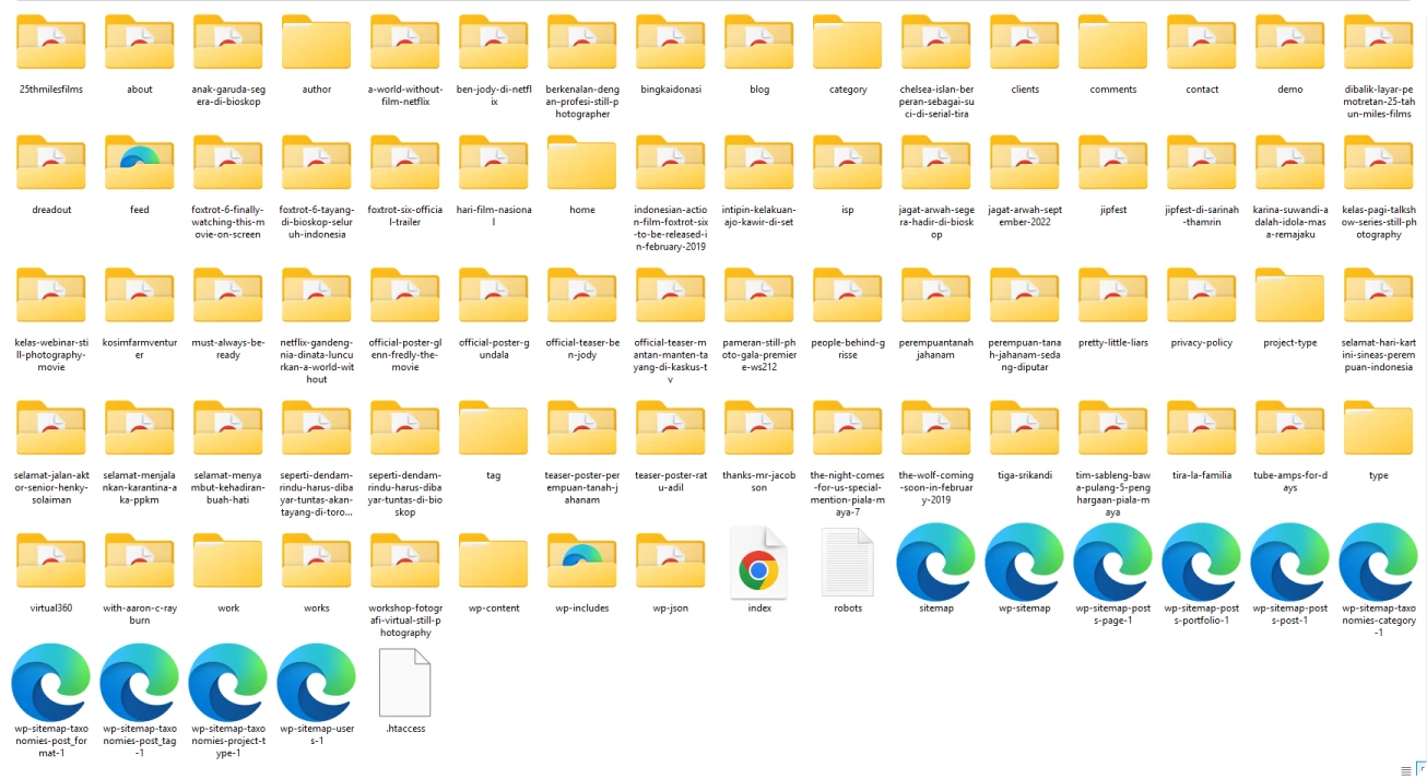 Restored website file and folder structure generated by WaybackSnap